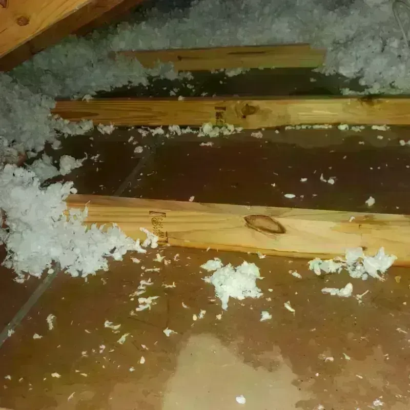 Attic Water Damage in Sanderson, TX