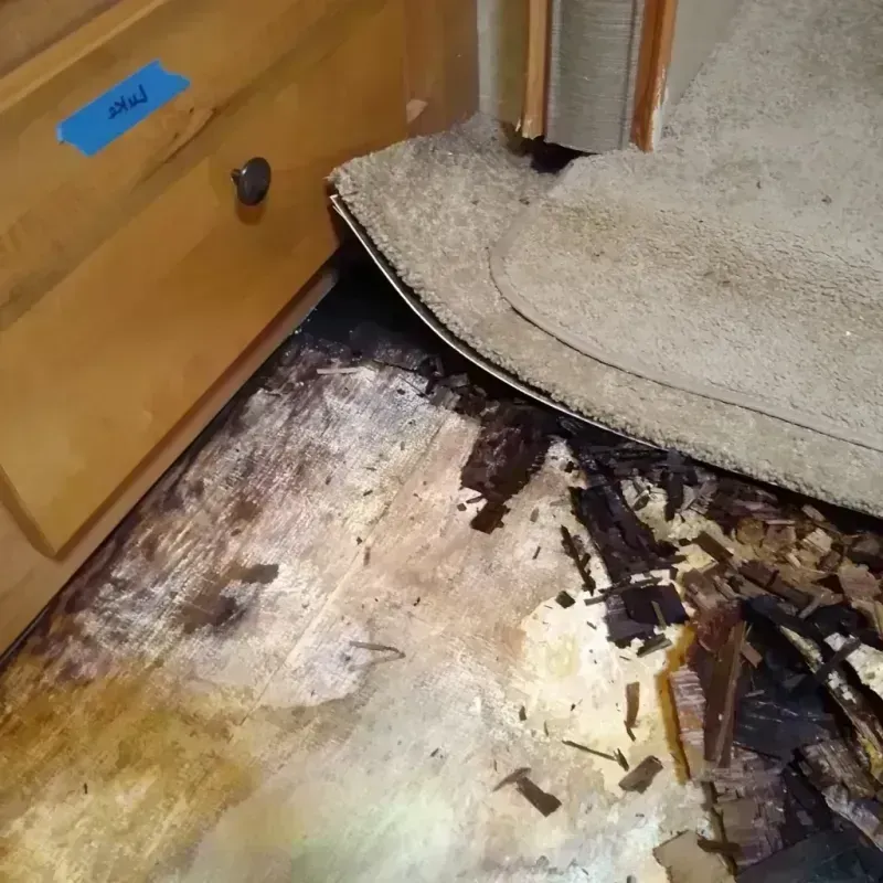 Wood Floor Water Damage in Sanderson, TX